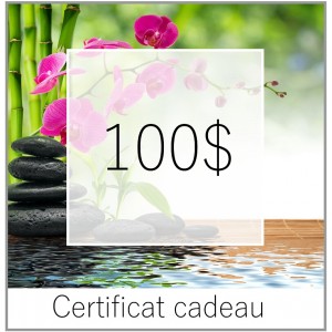 CERTIFICAT CADEAU 100